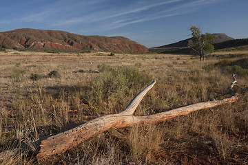 Image showing Red Mountain in northern Colorado