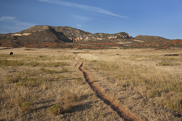 Image showing cattle trail in Colorado mountain valley