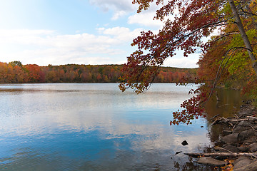 Image showing New England Fall Foliage