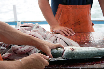 Image showing Fishermen Cleaning Blue Fish