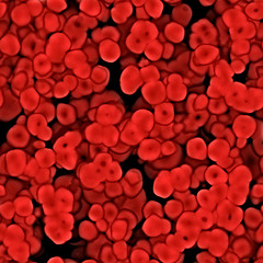 Image showing Red Blood Cells Texture