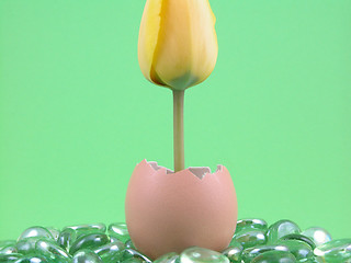 Image showing Easter decoration