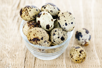 Image showing Quail eggs