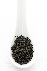 Image showing Dry black tea leaves in a spoon