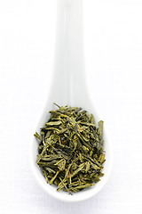 Image showing Dry green tea leaves in a spoon