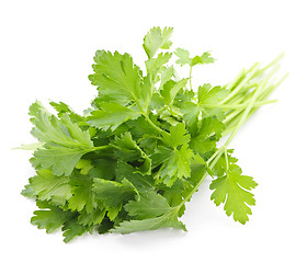 Image showing Fresh parsley on white background