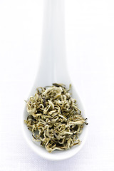 Image showing Dry white tea leaves in a spoon