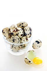 Image showing Quail eggs