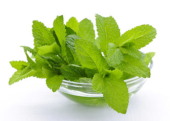 Image showing Mint sprigs in bowl