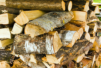 Image showing Logs