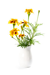 Image showing marigold flowers in vase 