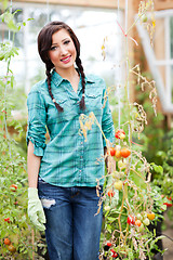 Image showing Gardening woman