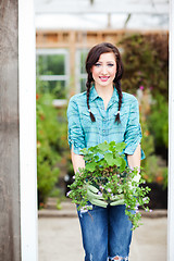 Image showing Gardening woman