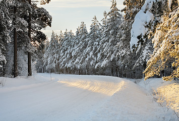 Image showing Arctic road