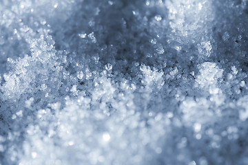 Image showing Snow