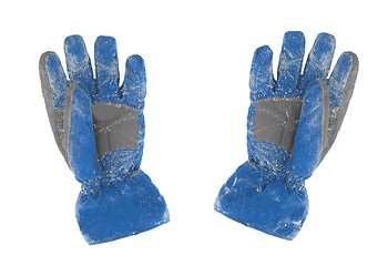 Image showing Gloves