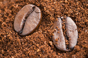 Image showing Coffee Beans