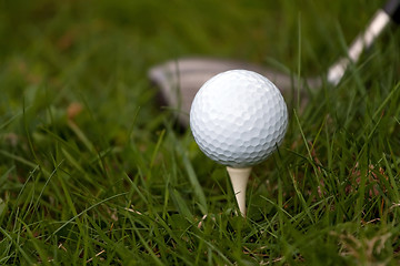 Image showing Golf Ball and Tee