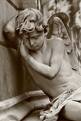 Image showing Angel at Recoleta Buenos Aires