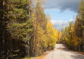 Image showing golden road