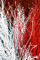 Image showing Red and white sticks background