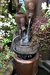 Image showing Water garden