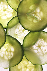 Image showing Back lit slices of cucumber