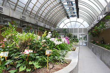 Image showing greenhouse