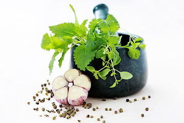 Image showing herbal mortar and pestle