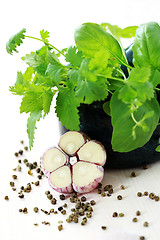 Image showing herbal mortar and pestle