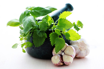 Image showing herbal mortar and pestle