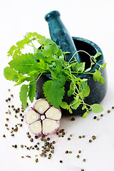 Image showing herbal mortar and pestle