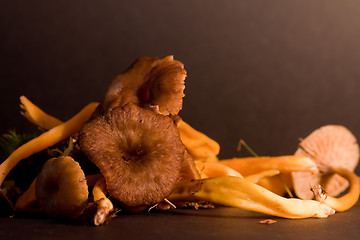 Image showing Chanterelles