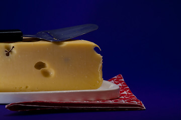 Image showing cheese