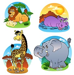 Image showing Various tropical animals 1