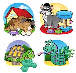 Image showing Various pets images 2