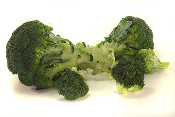 Image showing Broccoli