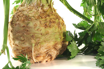 Image showing Celery