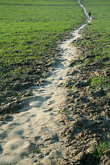 Image showing footpath