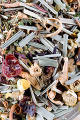 Image showing herbal tea