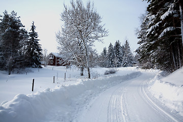 Image showing Winter