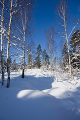 Image showing winter landscape