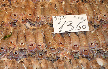 Image showing Adriatic prawns in Venice