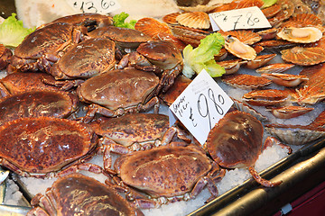 Image showing Crab at the Rialto