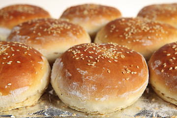 Image showing Burger buns from the oven