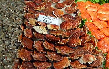 Image showing Clams, salmon and prawns