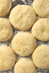 Image showing Rising burger bun dough