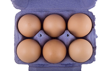 Image showing brown hens eggs in blue egg carton