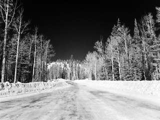 Image showing Infrared landscape