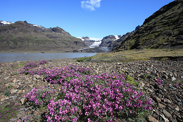 Image showing Iceland